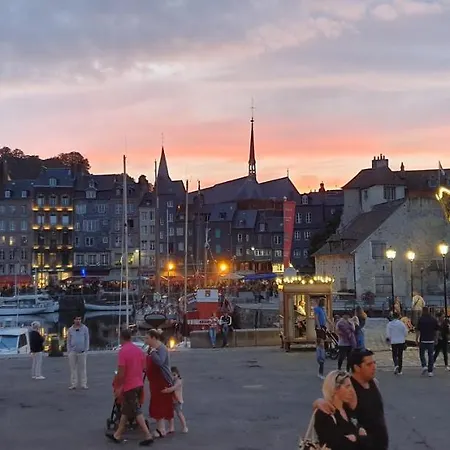 Apartment Edelweiss *